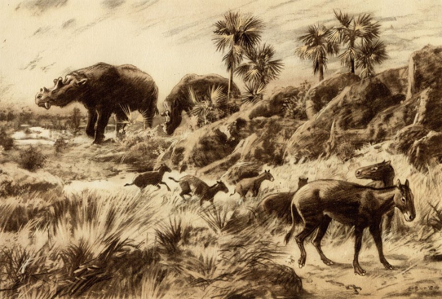 По пути развития жизни - doc2fb_image_0200003A.jpg