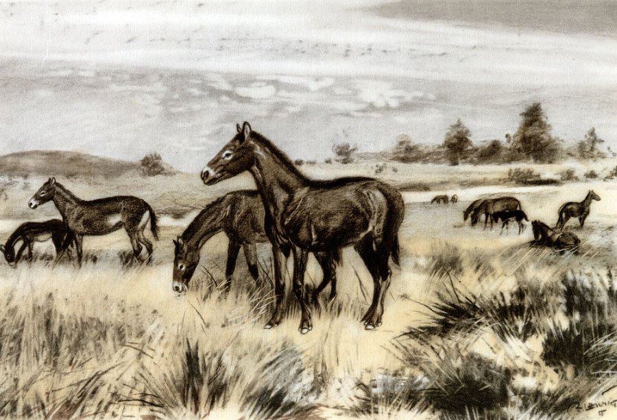 По пути развития жизни - doc2fb_image_0200003B.jpg