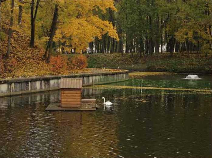 Покинутые или Безумцы - _113.jpg