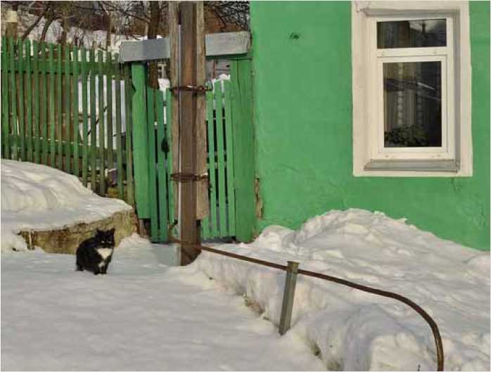 Покинутые или Безумцы - _180.jpg