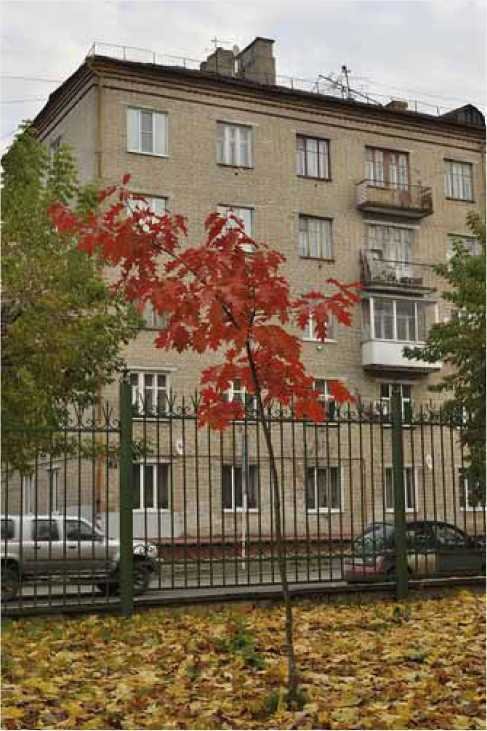 Покинутые или Безумцы - _50.jpg
