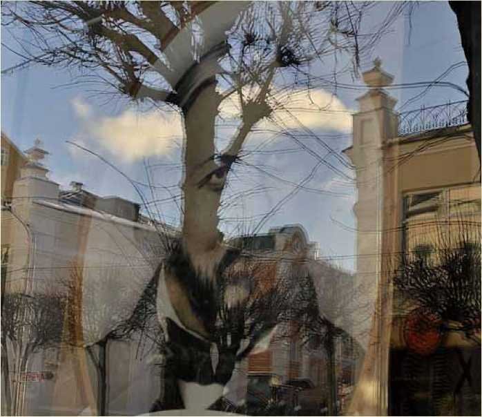 Покинутые или Безумцы - _156.jpg