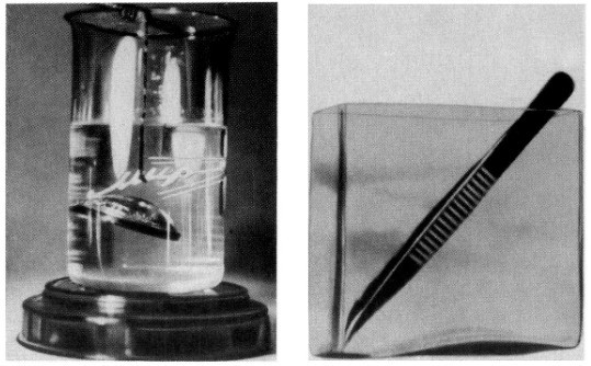 Жизнь и мечта - _15.jpg