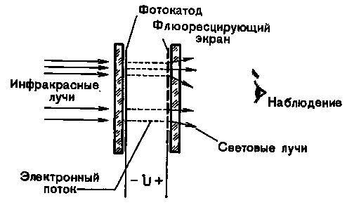 Жизнь и мечта - _30.jpg