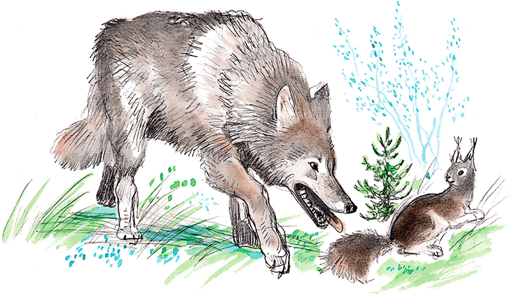 Сказки, басни, были и рассказы - i_017.png