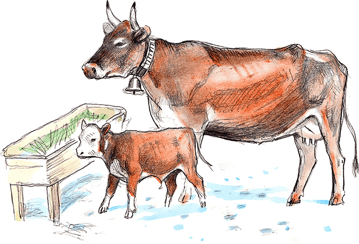 Сказки, басни, были и рассказы - i_018.png