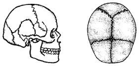 Квантовое Прикосновение: Исцеляющая энергия - i_070.jpg