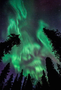 Книга Апатрид. Книга 1 (СИ)