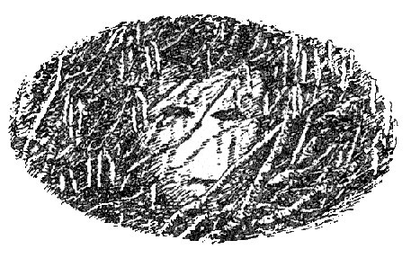 Лавондисс - image008.jpg