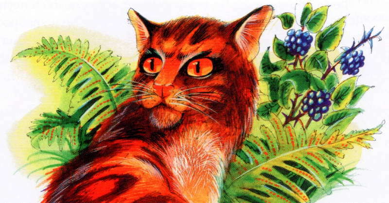 Память племен. Путеводитель по серии «Коты-воители» - pic_17.jpg