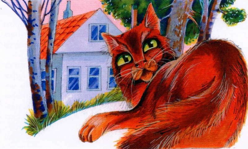 Память племен. Путеводитель по серии «Коты-воители» - pic_6.jpg