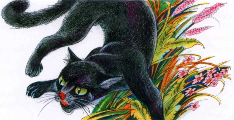 Память племен. Путеводитель по серии «Коты-воители» - pic_20.jpg