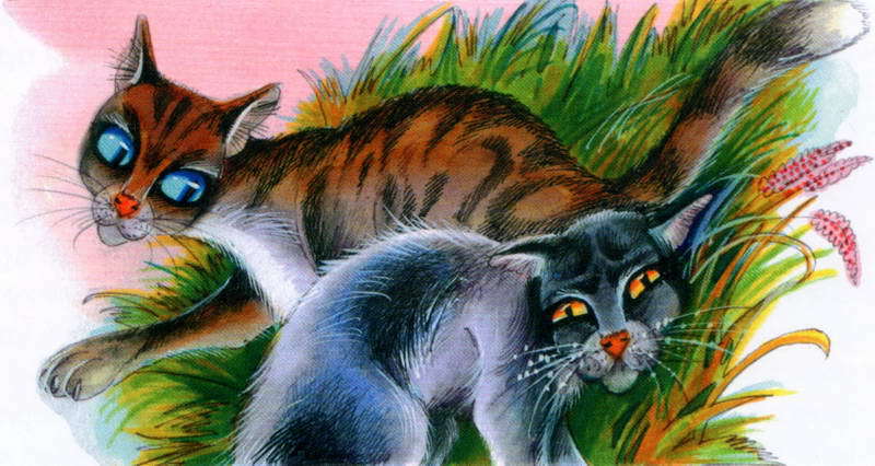 Память племен. Путеводитель по серии «Коты-воители» - pic_35.jpg