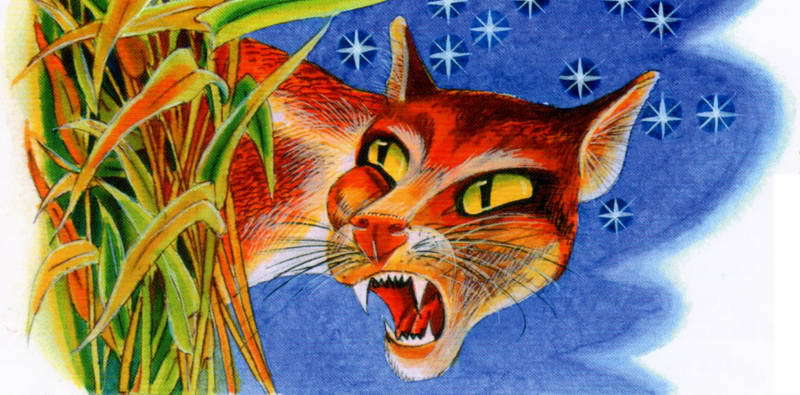 Память племен. Путеводитель по серии «Коты-воители» - pic_51.jpg