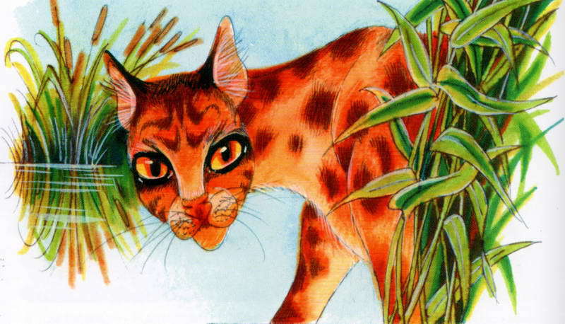 Память племен. Путеводитель по серии «Коты-воители» - pic_53.jpg