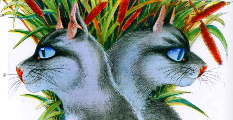 Память племен. Путеводитель по серии «Коты-воители» - pic_54.jpg