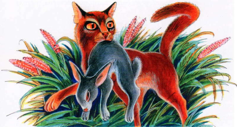 Память племен. Путеводитель по серии «Коты-воители» - pic_73.jpg