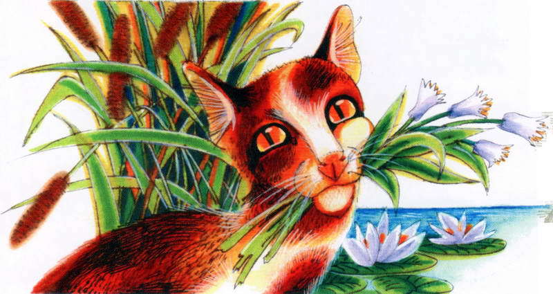 Память племен. Путеводитель по серии «Коты-воители» - pic_76.jpg