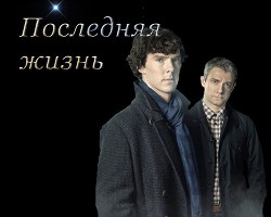 Книга Последняя жизнь (СИ)