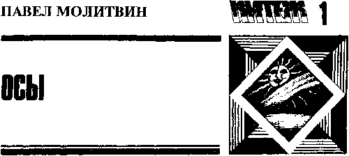 Китеж (сборник) - i_025.png