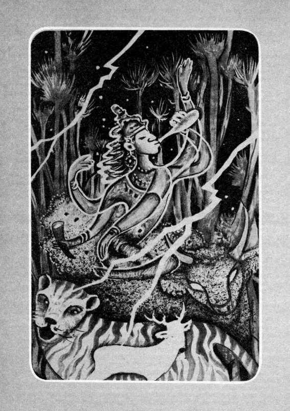 Рассказы. Стихотворения - i_020.jpg