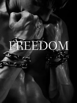 Читать онлайн книгу Свобода (СИ) автор Книга Свобода (СИ)