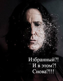 Книга Избранный?! И в этом?! Снова?!!! (СИ)