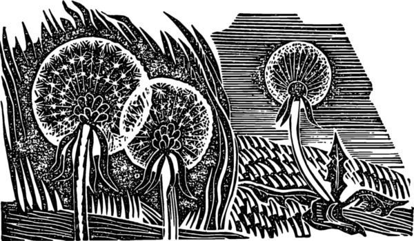 Березовый свет<br />Лирические миниатюры - i_016.jpg