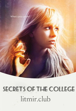 Книга Тайны колледжа (СИ)