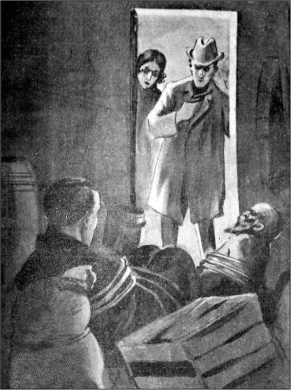 Всадники ветра (Двойники)<br />Советская авантюрно-фантастическая проза 1920-х гг. Том XVII - i_015.jpg