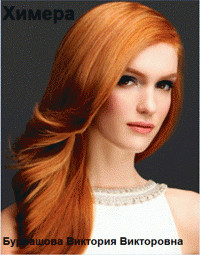 Книга Химера (СИ)