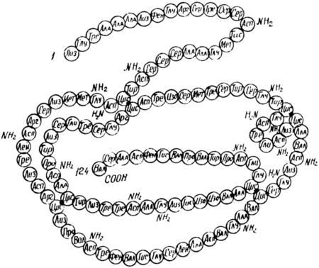 Три тайны жизни - i_010.jpg