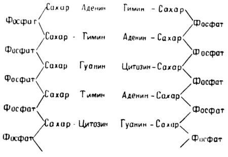 Три тайны жизни - i_013.jpg