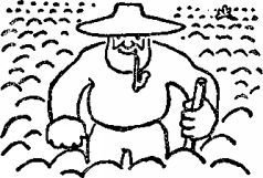 Год садовода - pic_1.jpg