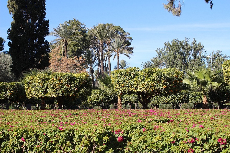 Тот Мир, Где продолжается жизнь после смерти (СИ) - _5.jpg