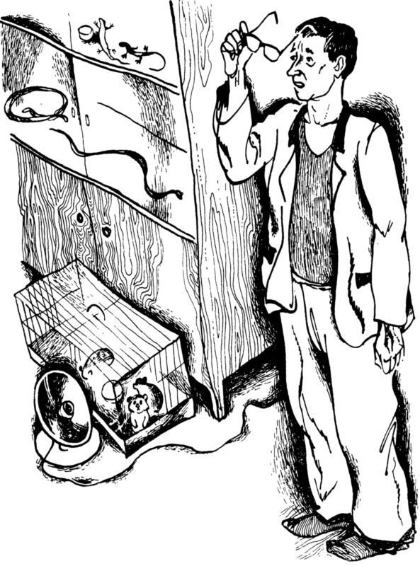 За круглым оконцем<br />Повесть - i_005.jpg