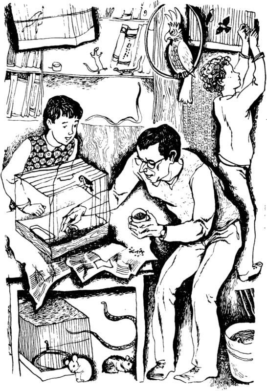 За круглым оконцем<br />Повесть - i_009.jpg