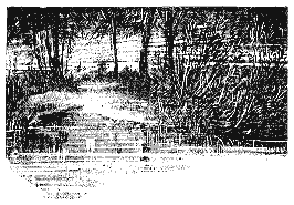 Трое в лодке, не считая собаки - i_05.png
