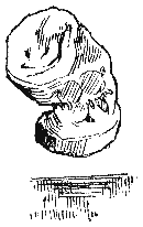 Трое в лодке, не считая собаки - i_38.png