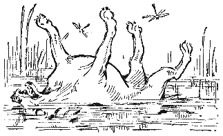 Трое в лодке, не считая собаки - i_44.png