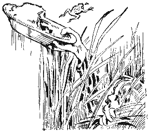 Трое в лодке, не считая собаки - i_45.png