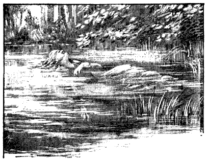 Трое в лодке, не считая собаки - i_52.png