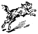 Трое в лодке, не считая собаки - i_61.png
