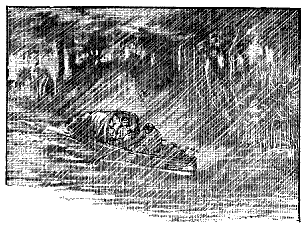 Трое в лодке, не считая собаки - i_64.png