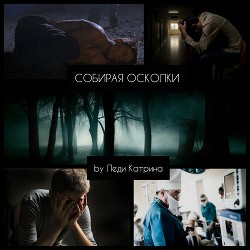 Книга Собирая осколки (СИ)