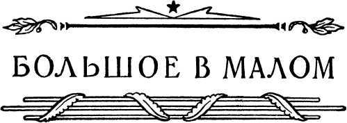 О смелой мысли - i_029.jpg