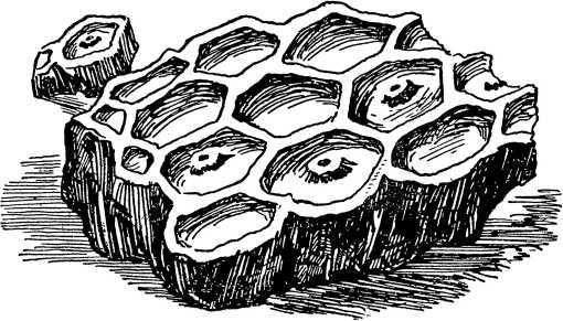 О смелой мысли - i_050.jpg