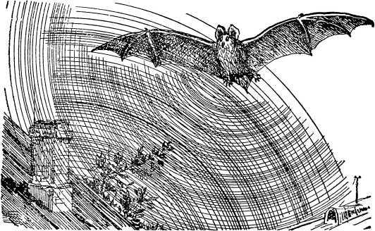 О смелой мысли - i_084.jpg