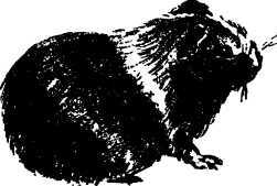 Мой живой уголок - i_053.jpg