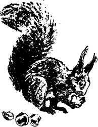 Мой живой уголок - i_057.jpg